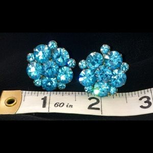 Vintage Blue Rhinestone Screw Back Earrings